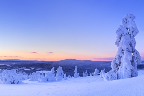 Laponie finlandaise séminaires et incentives