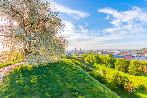 Pologne Gdansk séminaires et incentives