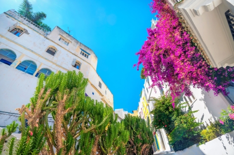 Maroc tanger séminaires et incentives Maroc Tanger séminaires et incentives