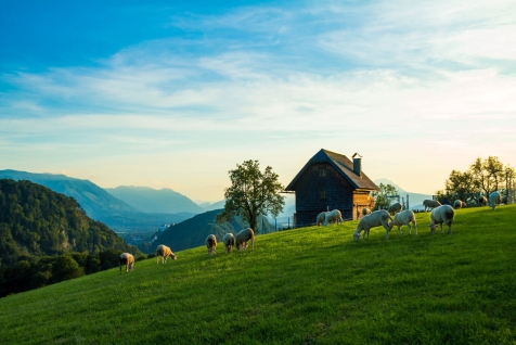 Salzbourg séminaires et incentives