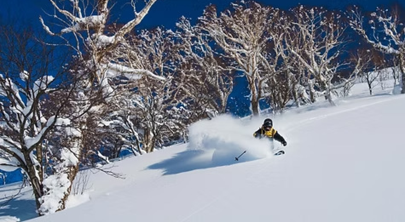 Ski-japan-hokkaido-niseko.jpeg ski-japan-hokkaido-niseko.jpeg