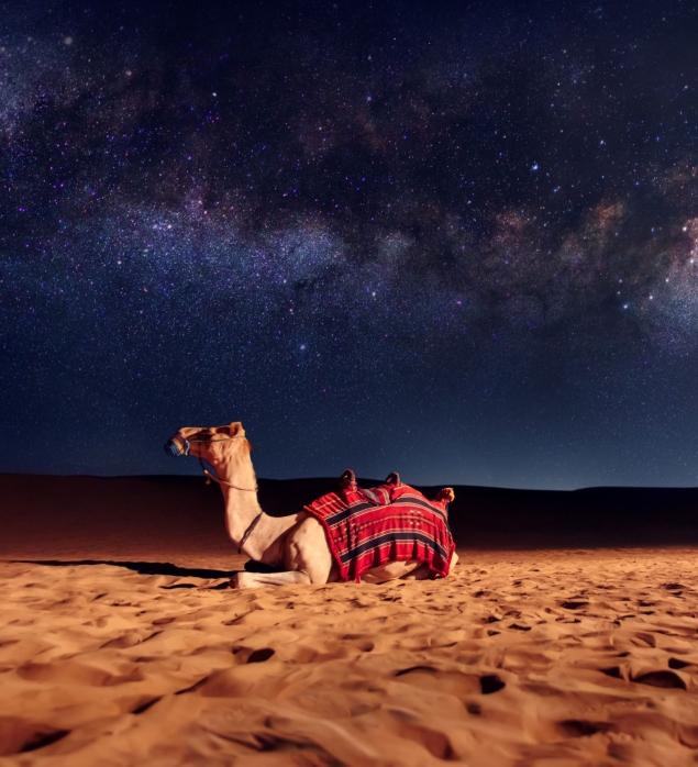 Emirats Arabes Unis séminaires et incentives