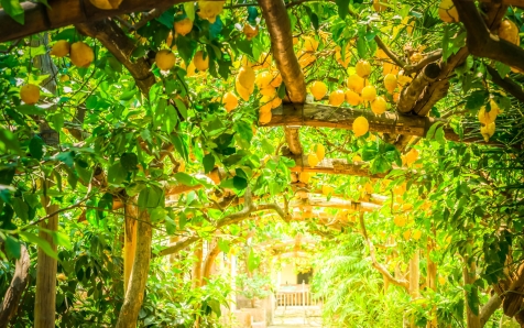 Sorrento séminaires et incentives Sorrento séminaires et incentives